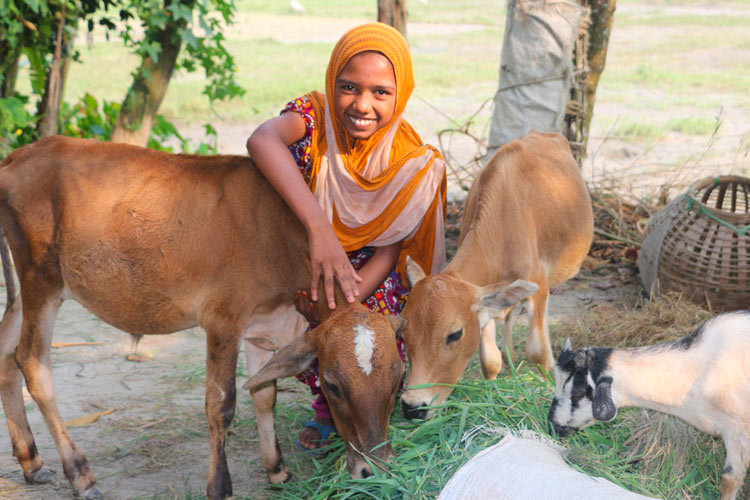 Buy a best selling gift of hope like goats, provide vital sources of nutrition and income for families 