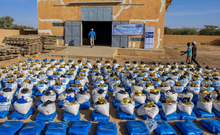 Plan International distributes emergency food kits containing rice, oil, salt and beans to families affected by the hunger crisis in Niger.