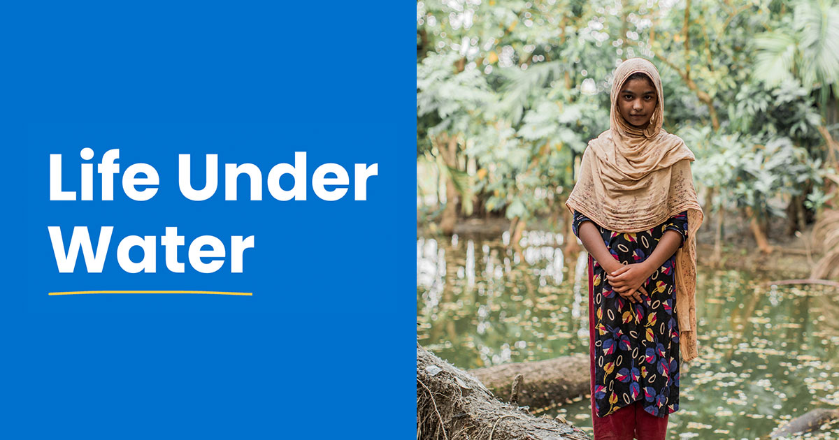 Life Under Water Banner