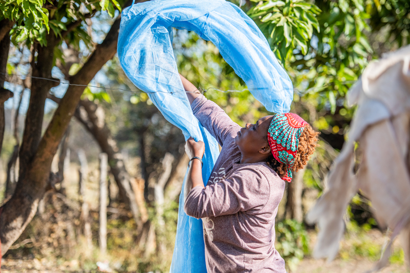 A woman puts a mosquito net on a clothesline with both her hands under a tree.