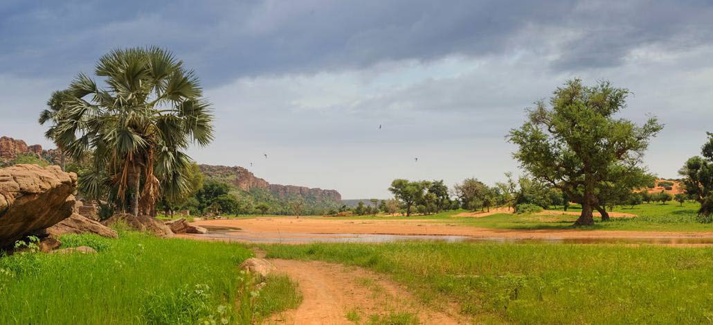 Field in Mali