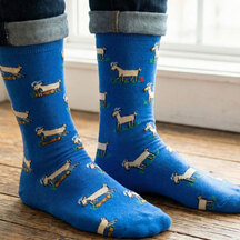 Blue socks featuring a colourful llama pattern