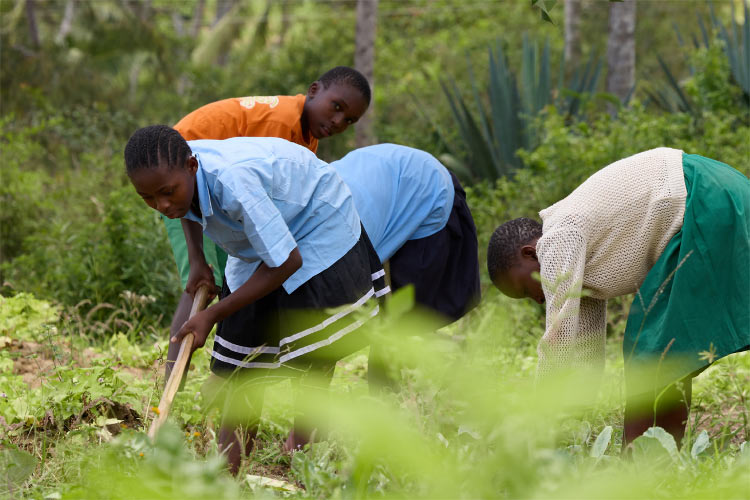 Woman planting trees