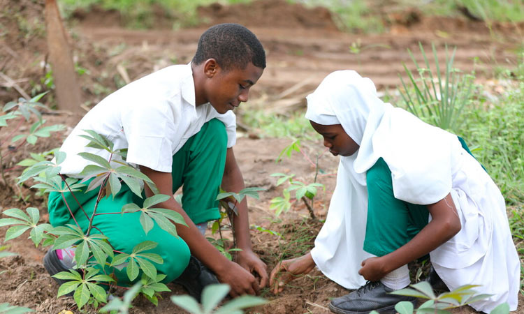 Children tending plants