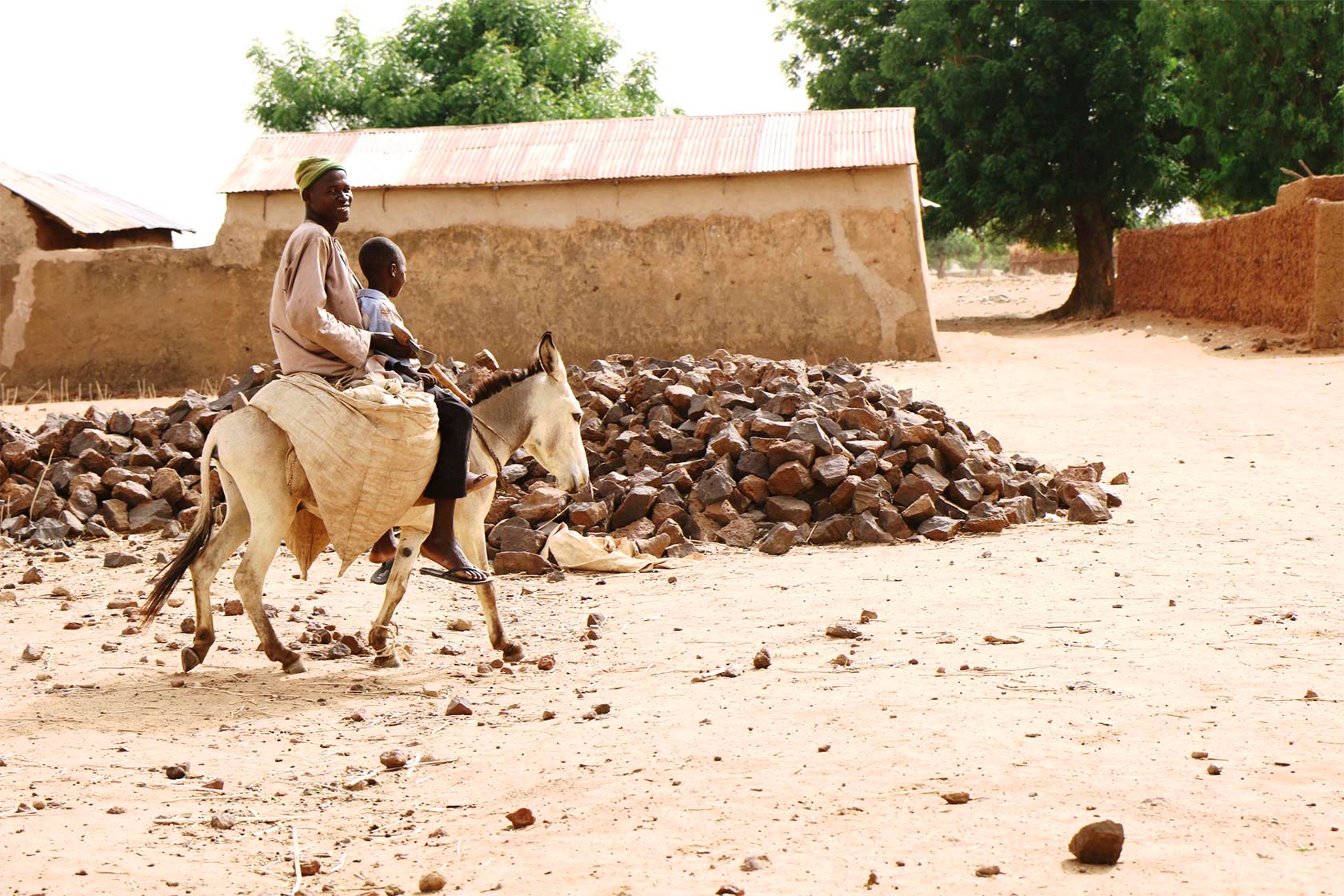 Father and son riding mule