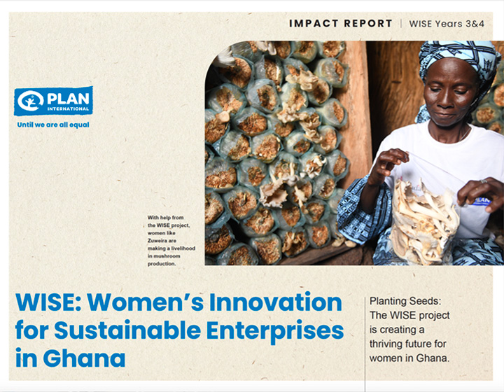WISE: Women’s Innovation for Sustainable Enterprises in Ghana