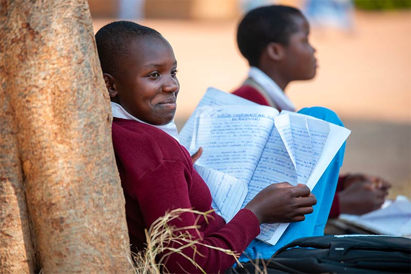 Young boy reading under a tree