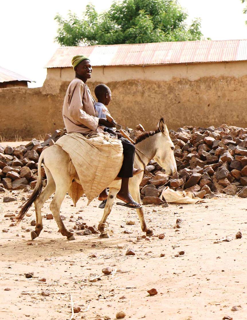 Father and son riding mule