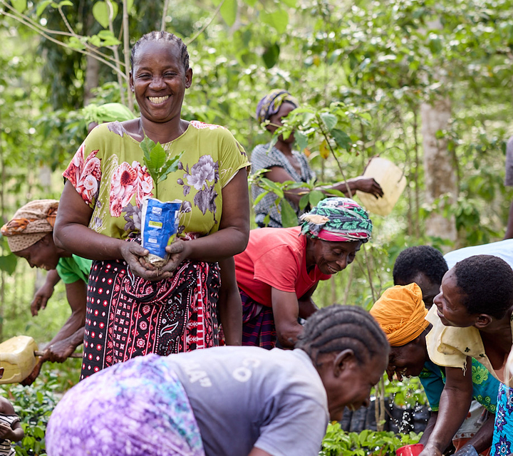 A smiling woman stands in the centre of the picture, holding a small plastic bag that contains a seedling. She is surrounded by other women who are bent over tending to other seedlings.