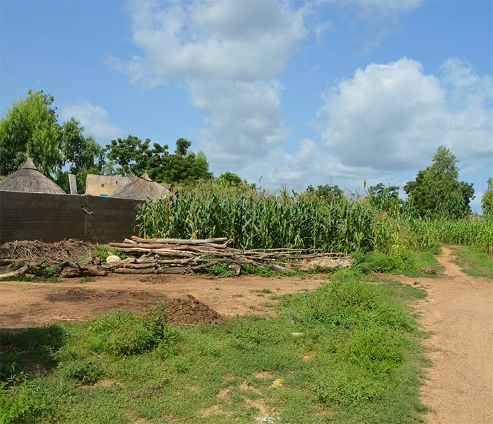 Landscape of Kourittenga, Burkina Faso.