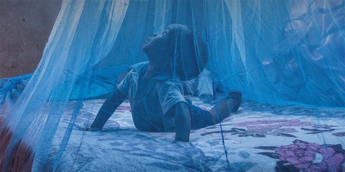 child lying under mosquito net