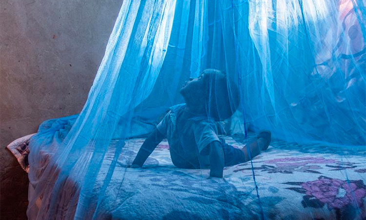 Child under mosquito net