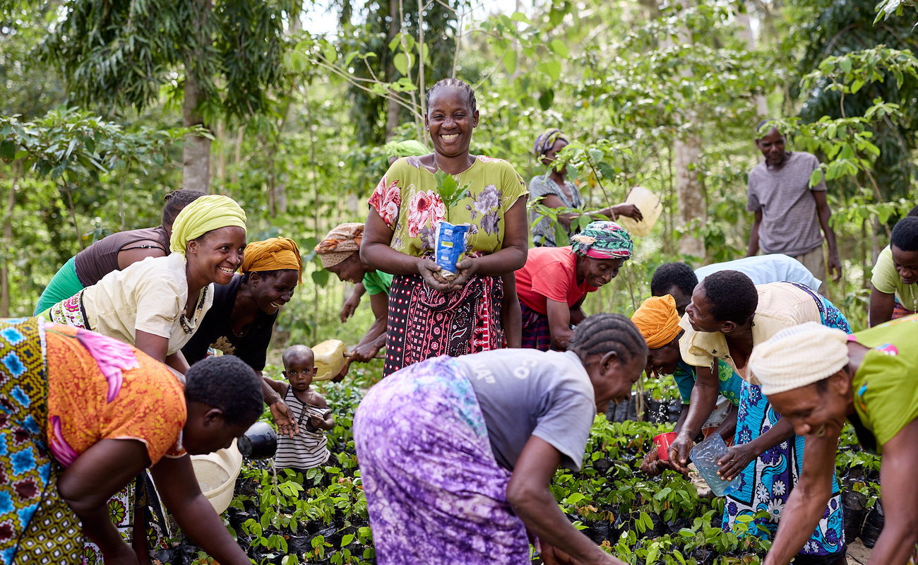 A smiling woman stands in the centre of the picture, holding a small plastic bag that contains a seedling. She is surrounded by other women who are bent over tending to other seedlings.