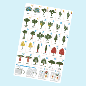 Memory Game