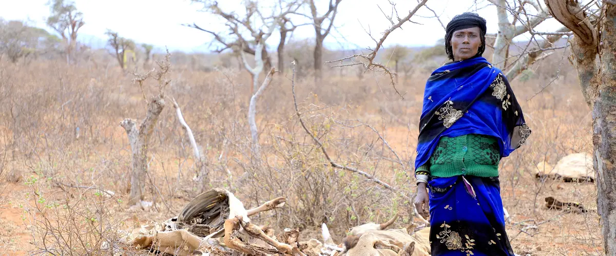 
Severe drought has worsened in Ethiopia’s Oromia region, causing widespread water scarcity and food insecurity, killing off livestock and severely disrupting people's livelihoods. Seke, 50, says the drought has caused her to lose everything.